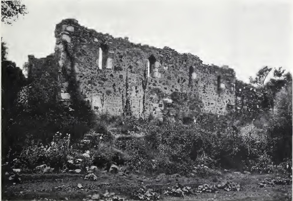 The north wall of the episcopal cathedral at Αγιά — photograph by Gerola