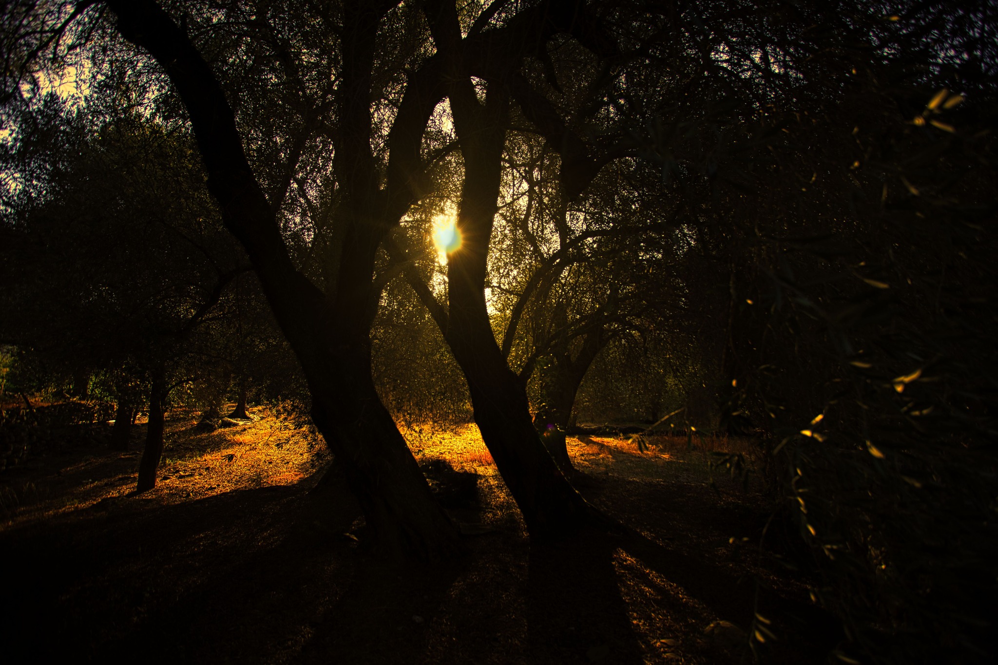 Zachód Słońca Zachód Słońca