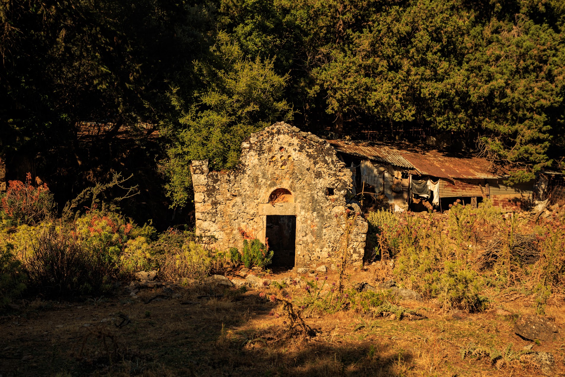 Ruiny Kościoła w Agia Irini